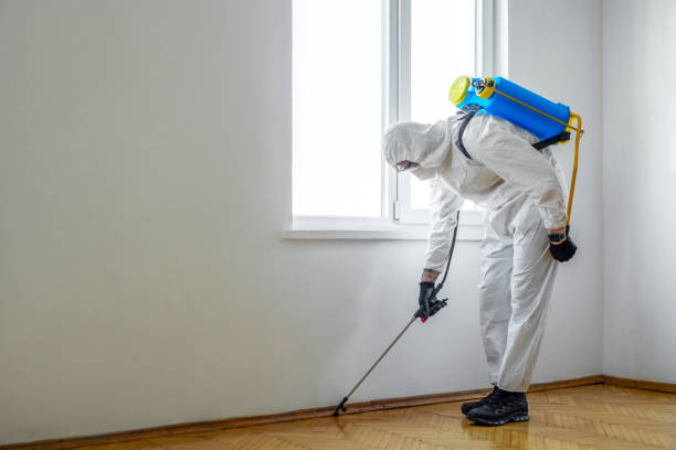 Best Residential Pest Control  in New Brockton, AL